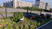 В Мурманской области выбрали муниципалитеты с самым красивым озеленением